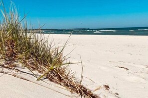 Een strand met zand en weinig gras.