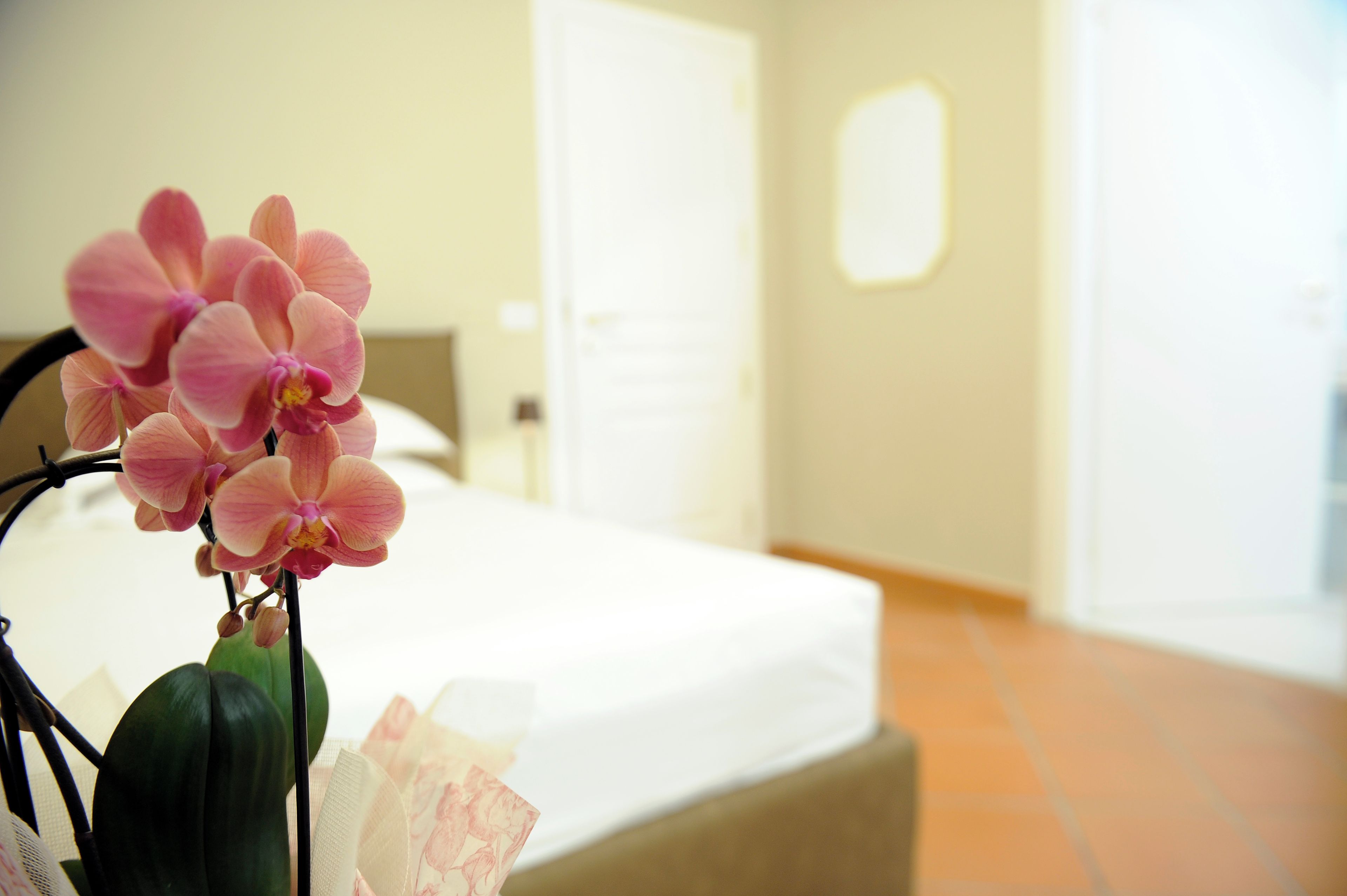 Ein Hotelzimmer mit einem Bett, einer Vase mit rosa Blumen und einer Tür im Hintergrund.