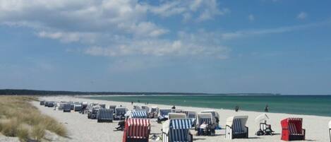 Une plage bordée de rangées de chaises longues et de parasols, une promenade en bois et un ciel dégagé.