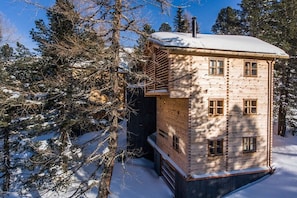 A wooden cabin with a snow-covered roof, surrounded by trees and snow. - Hollmann am Berg - Toni (Ebene Reichenau)