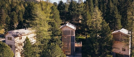 A forested area with three cabins, each with a distinct architectural style, surrounded by dense trees.