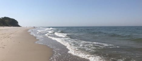 Une plage avec un rivage sablonneux et des vagues douces.