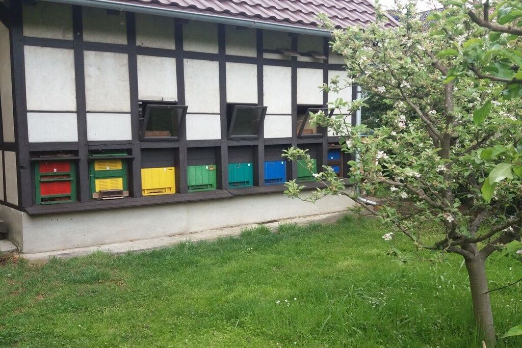 Rakennuksessa on perinteinen, puurunkoisin koristeltu julkisivu ja rivi värikkäitä postilaatikkoja.