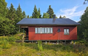 House - 4 bedroom nice home in Bykle (Bykle)