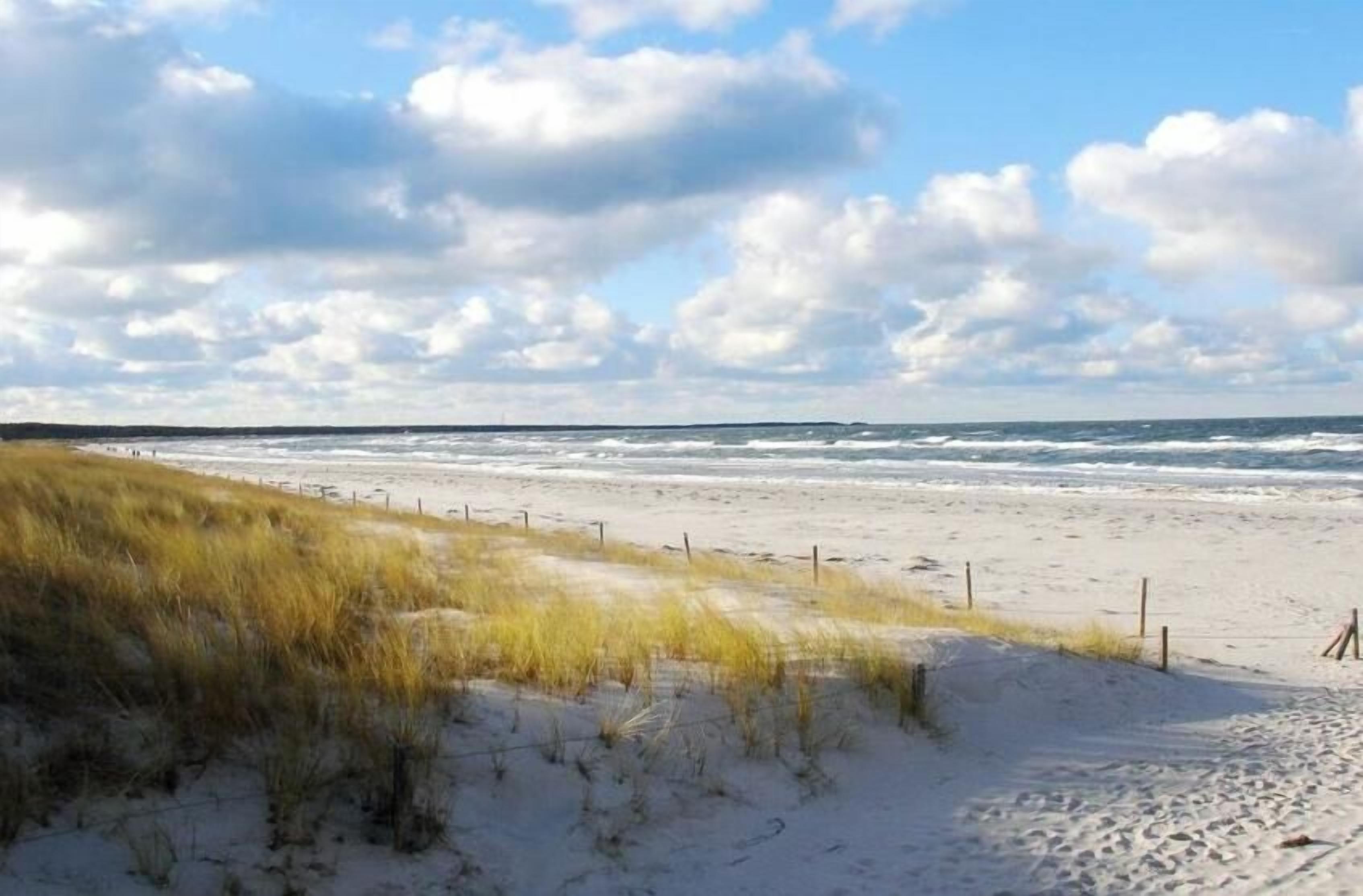 Une plage avec des dunes de sable et une clôture.