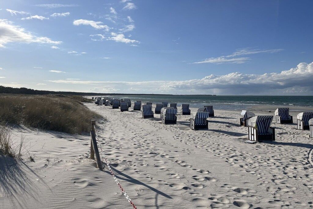 A beach with rows of striped beach chairs and a sandy path leading to the water.