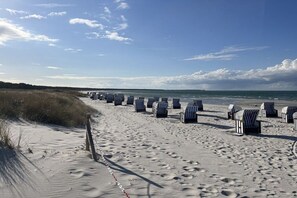 Une plage bordée de rangées de chaises de plage rayées et un sentier sablonneux menant à l’eau.