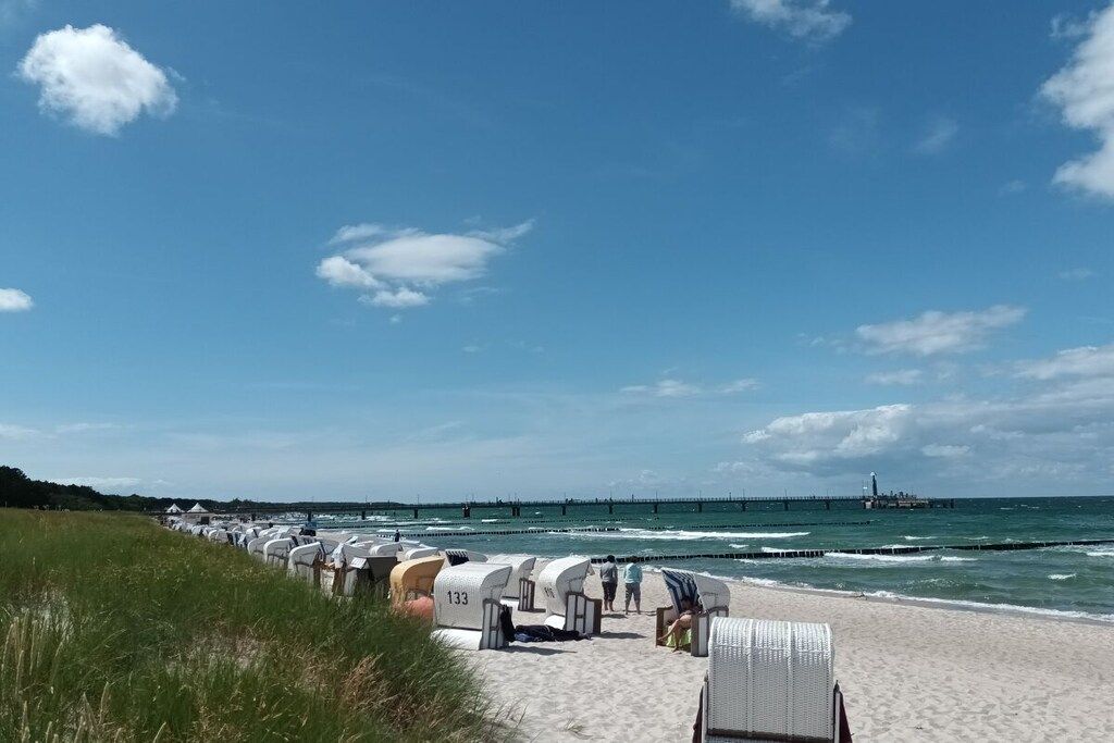 A beach with rows of beach chairs and umbrellas, a pier in the distance, and a clear sky.