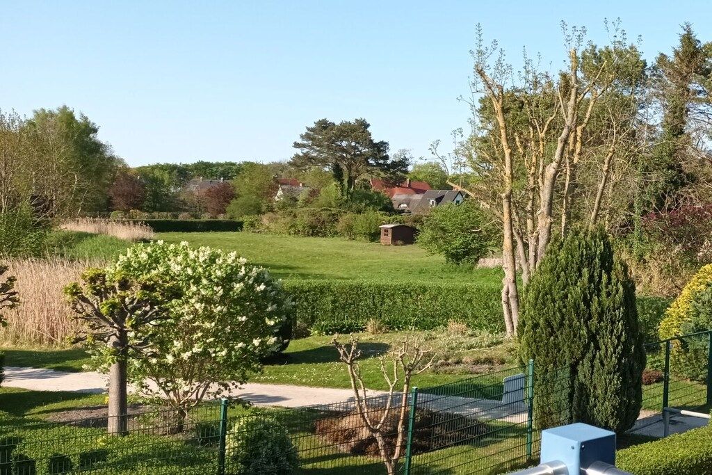 A fenced garden area with a variety of trees and shrubs, a pathway, and a small structure in the background.