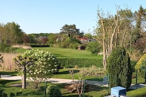 Ein von einer Hecke umgebener Gartenbereich mit verschiedenen Bäumen und Sträuchern, einem Weg und einem kleinen Gebäude im Hintergrund.