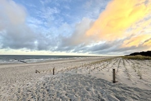 A sandy beach with a wooden fence and sparse vegetation. - Holiday apartment with 1 bedroom (Zingst)