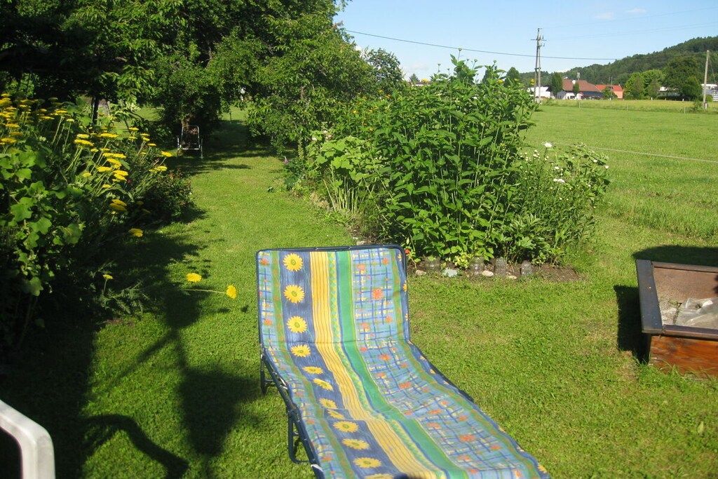 A garden with a lawn, a bench, and a variety of plants.