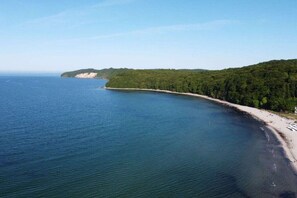 Eine Küstenlandschaft mit sandigem Strand und dichter Vegetation.