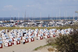 En strand med numrerade strandstolar och en småbåtshamn i bakgrunden.