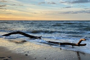 Une scène de plage avec un tronc d’arbre sur le sable et des vagues qui se rapprochent du rivage.