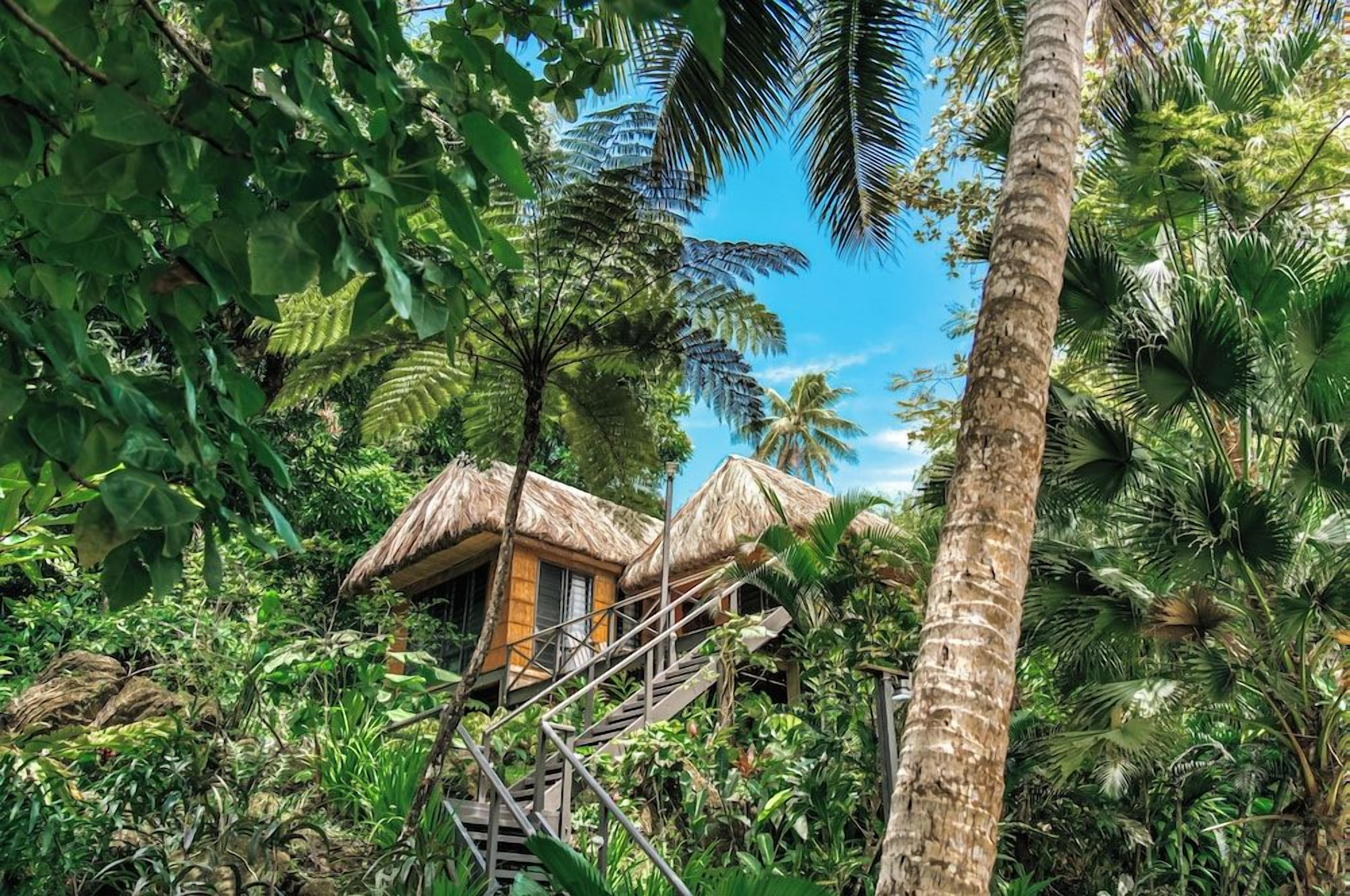 A tropical resort with thatched-roof cabins surrounded by dense vegetation and palm trees.