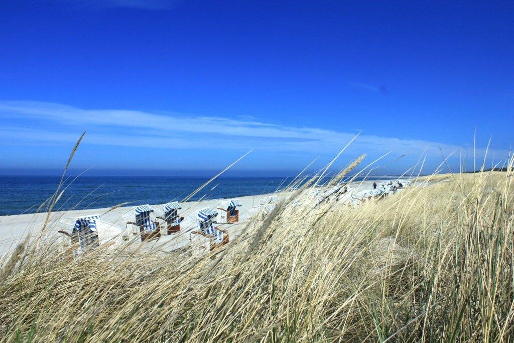 Une plage bordée de rangées de chaises longues et de parasols, un ciel dégagé et l’océan en toile de fond.