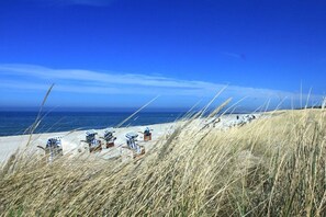 Ein Strand mit aneinandergereihten Liegestühlen und Sonnenschirmen, einem klaren Himmel und dem Meer im Hintergrund.