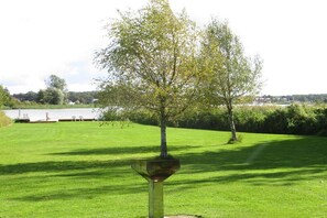 Ein Baum in einer grünen Wiese mit einer Metallkonstruktion in der Nähe.