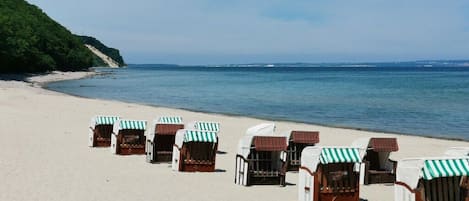 A beach with rows of beach chairs and umbrellas, a sandy shore, and a calm sea.
