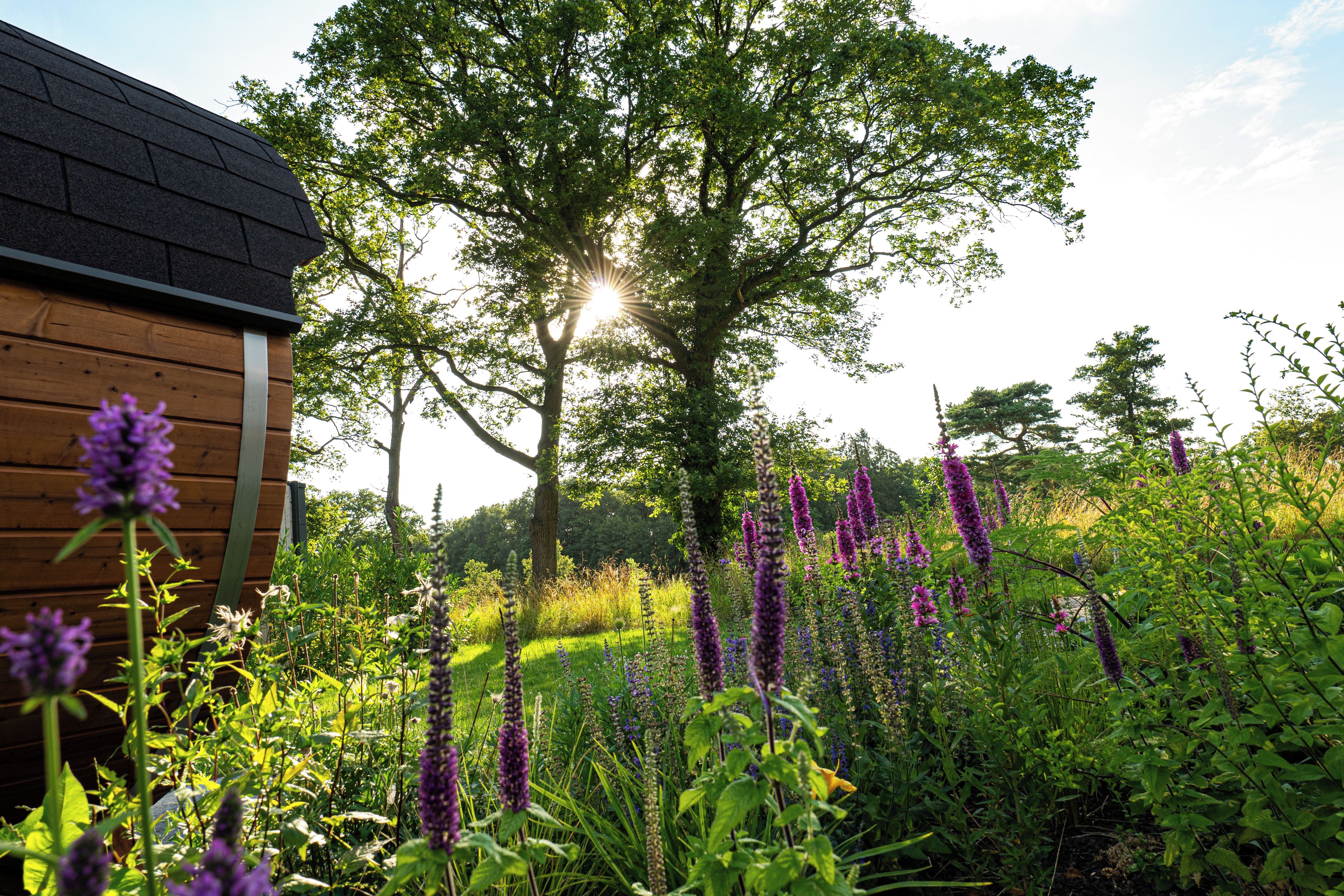 A wooden cabin with a large tree in the background and purple flowers in the foreground.
