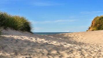 A sandy beach with dunes and sparse vegetation.