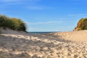 Ein sandiger Strand mit Dünen und vereinzelter Vegetation.