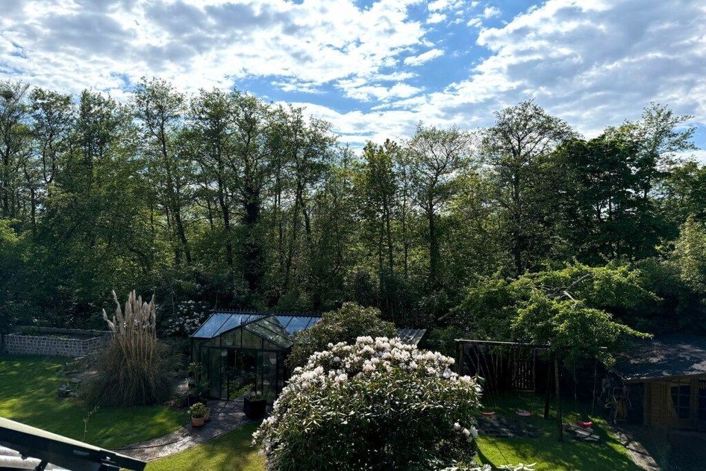 Ein Garten mit Gewächshaus, Bäumen und einer Schaukel.