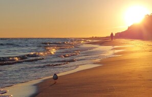 A beach scene with waves, a bird, and a person walking. - Amazing home in Liniewo with house a panoramic view (Wielki Klincz)