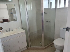 Un baño con ducha de vidrio, un lavabo blanco con espejo y un inodoro.