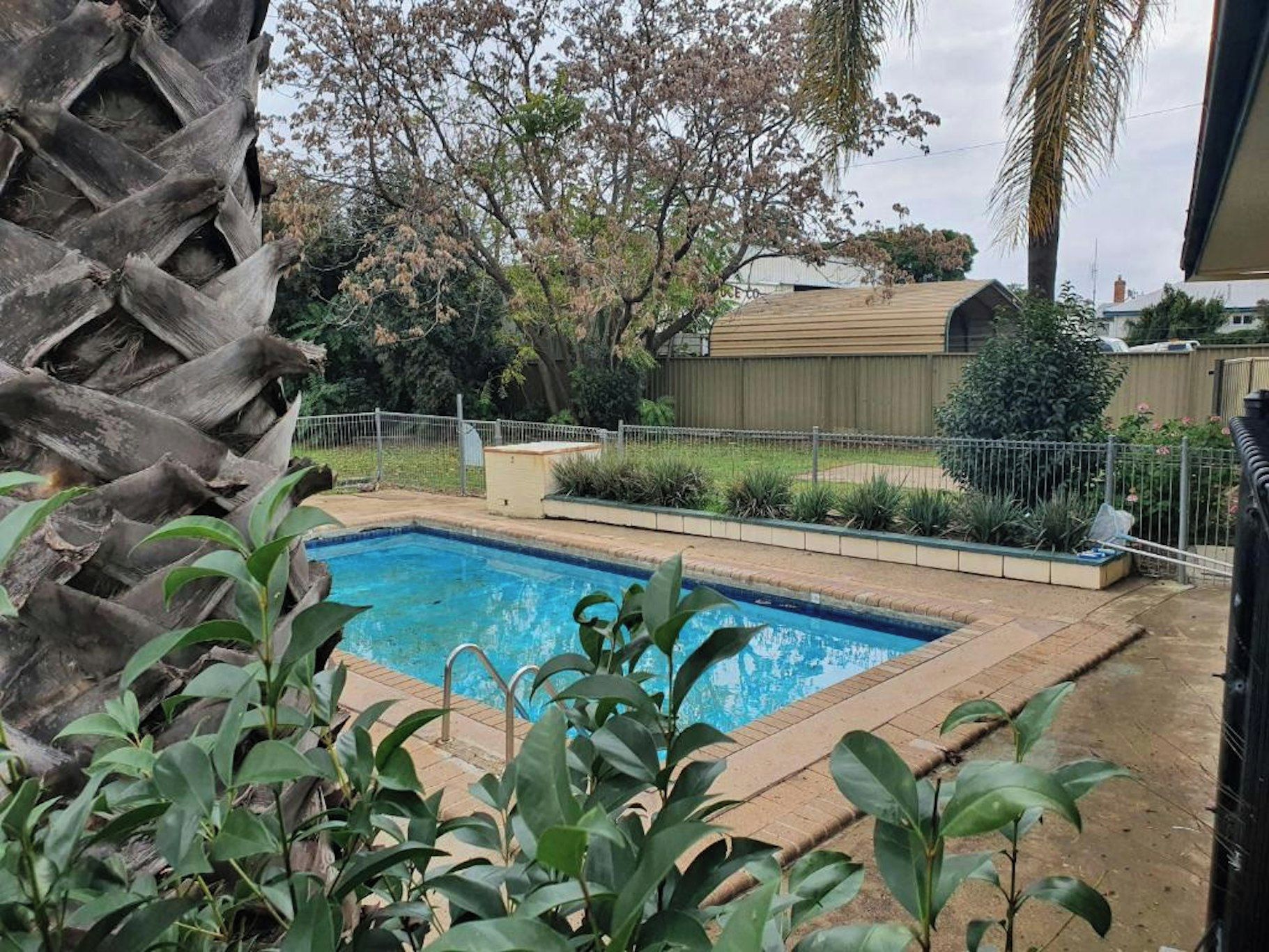 A swimming pool surrounded by a fenced garden with various plants and trees.