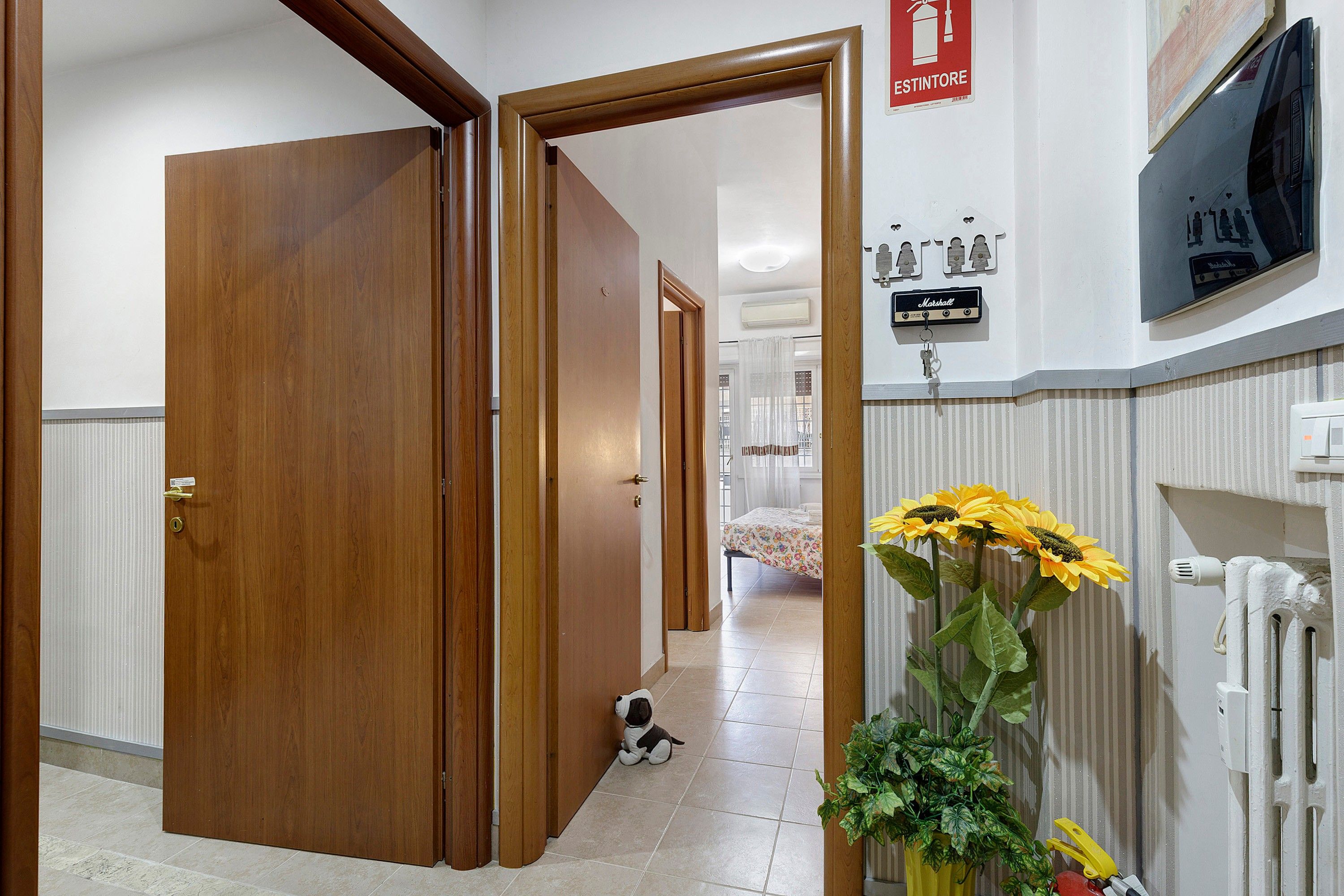 A hotel corridor with wooden doors, a dog, and a large potted plant.