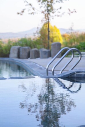A swimming pool with a metal ladder and a reflection of trees and mountains in the water.