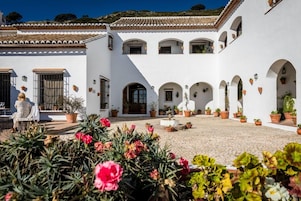 Un edificio blanco con varios arcos y plantas en macetas.