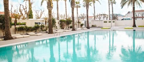 Une piscine bordée de palmiers et dotée de chaises longues.