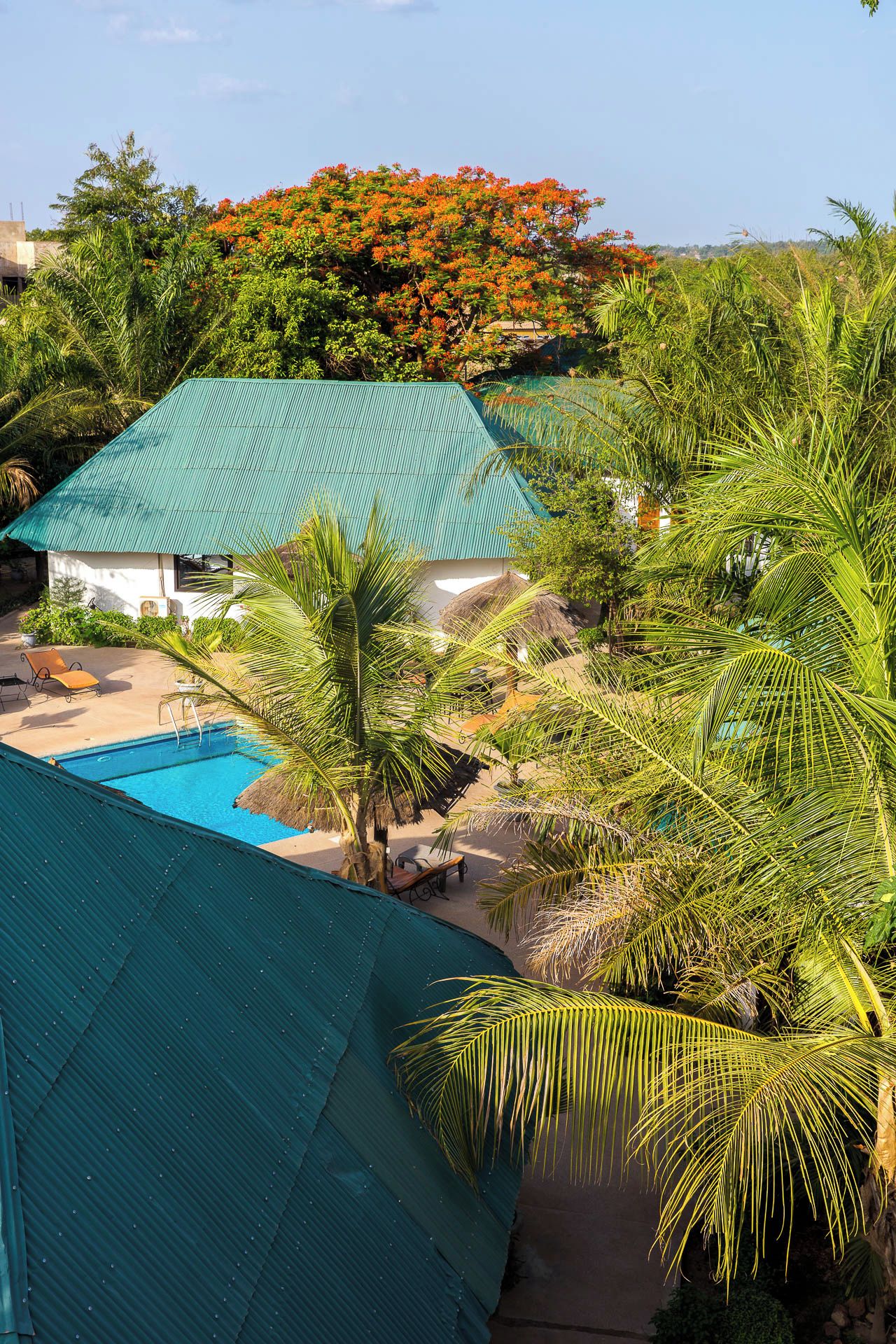 Zona de piscina con una casa, palmeras y vistas del paisaje circundante.