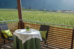An outdoor seating area with a table and chairs, overlooking a vineyard. - "Green" on the Sandwiesen farm (Gargazon)