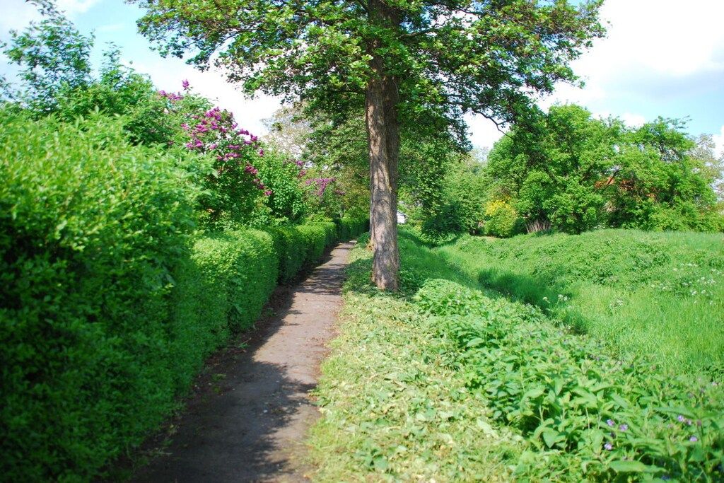 A narrow pathway flanked by lush greenery and trees, leading through a park-like setting.