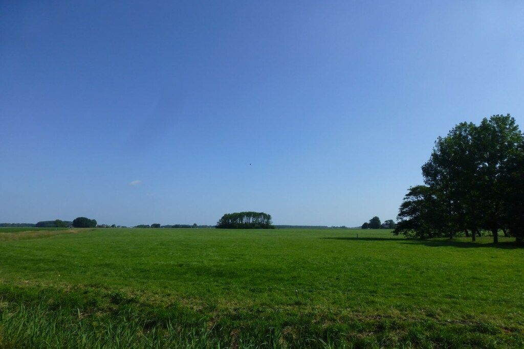 A wide-open field with a large tree on the right and a smaller tree in the distance.