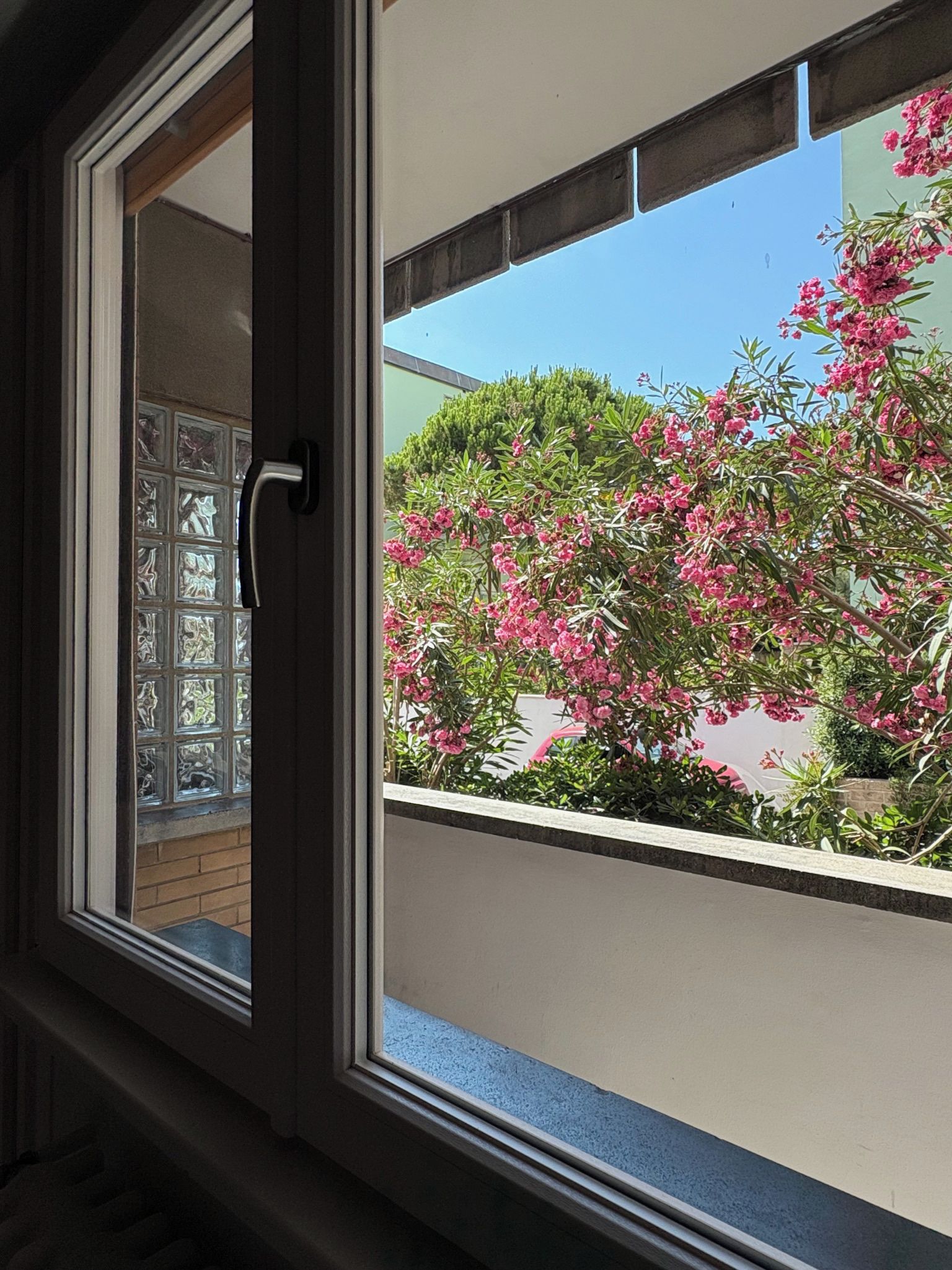 Una finestra con vista su fiori rosa e cielo azzurro intenso.