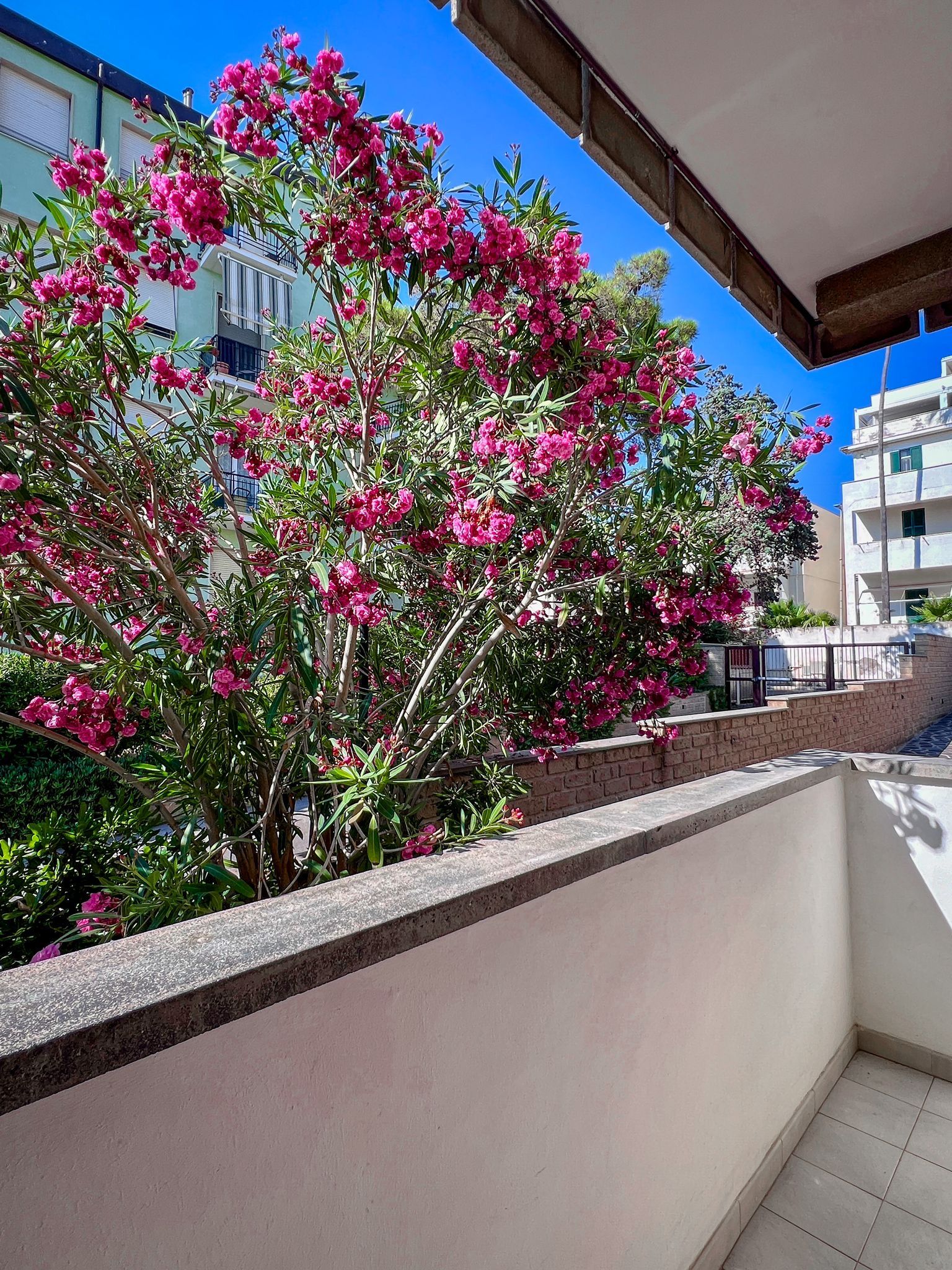Un balcone con vista su un edificio e un albero con fiori rosa.