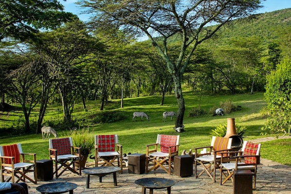 An outdoor seating area with chairs and tables, surrounded by trees and a grassy hill with zebras in the background.