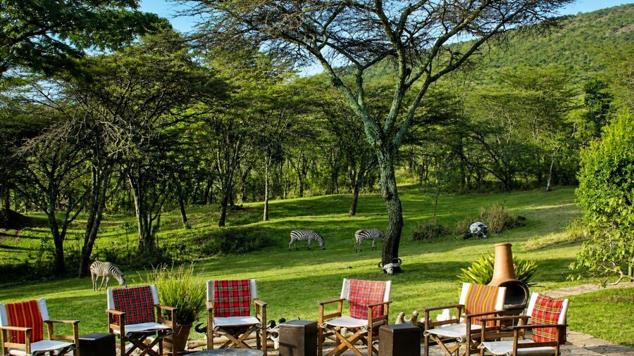Sekenani Camp Maasai Mara