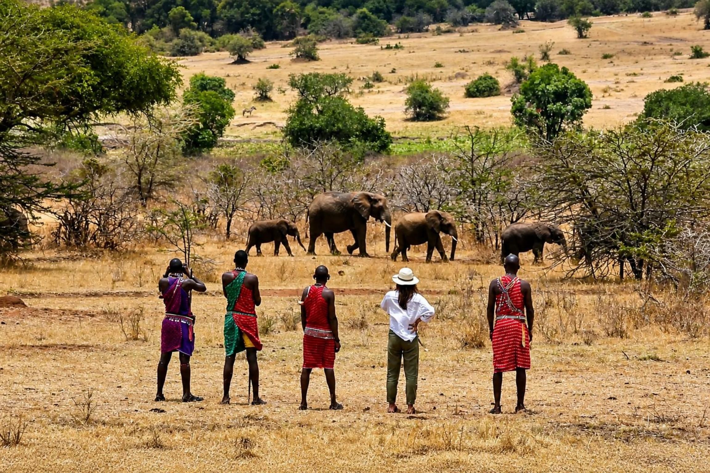 Un grupo de personas observando elefantes en un paisaje árido y abierto con pocos árboles.