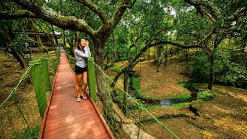 A wooden bridge in a forested area with a person standing on it.
