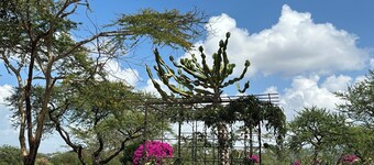 Tremendous 2-bedroom cottage just one hour from the city of Nairobi awaits you.