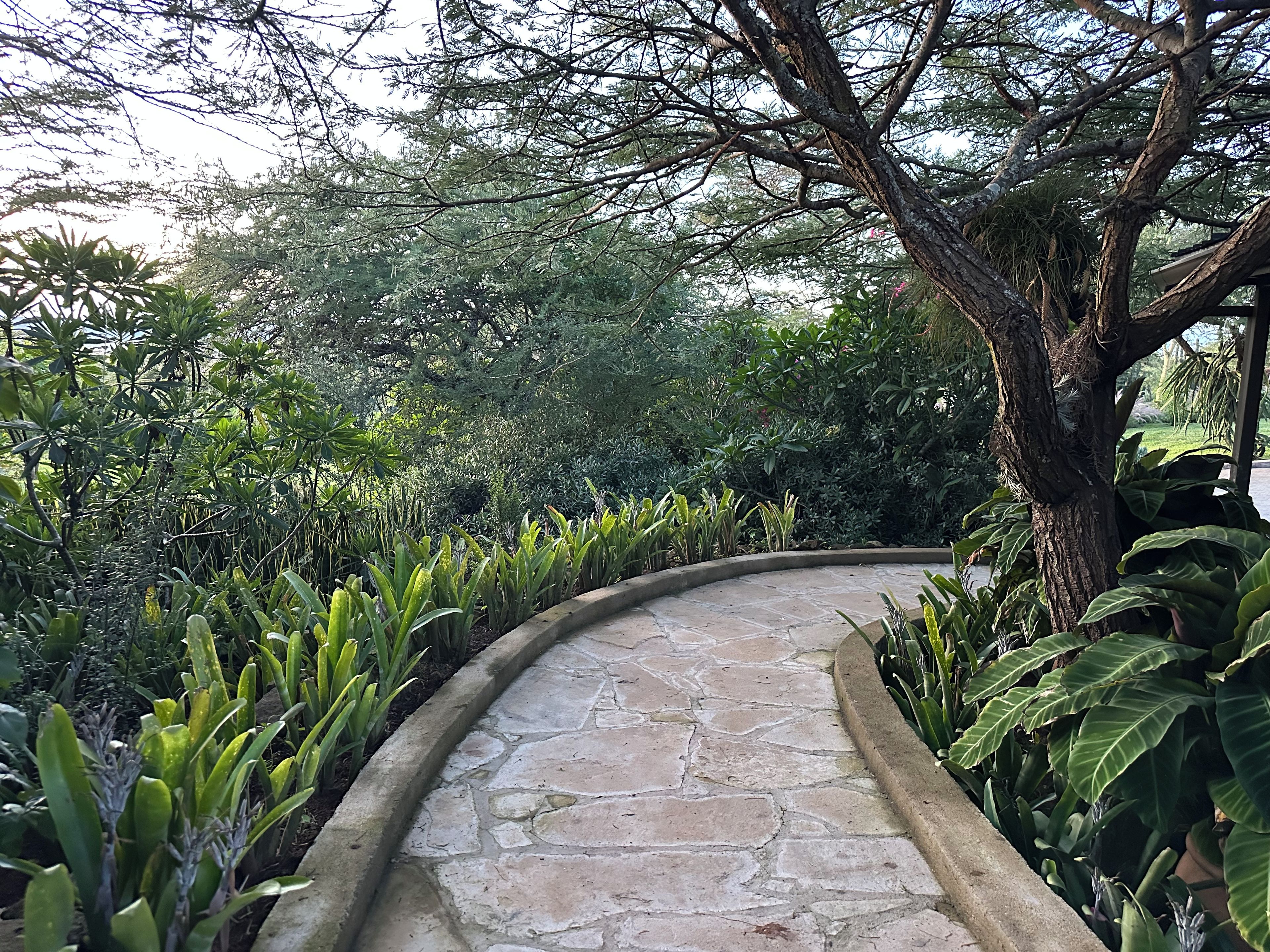A curved stone pathway surrounded by lush greenery and trees.