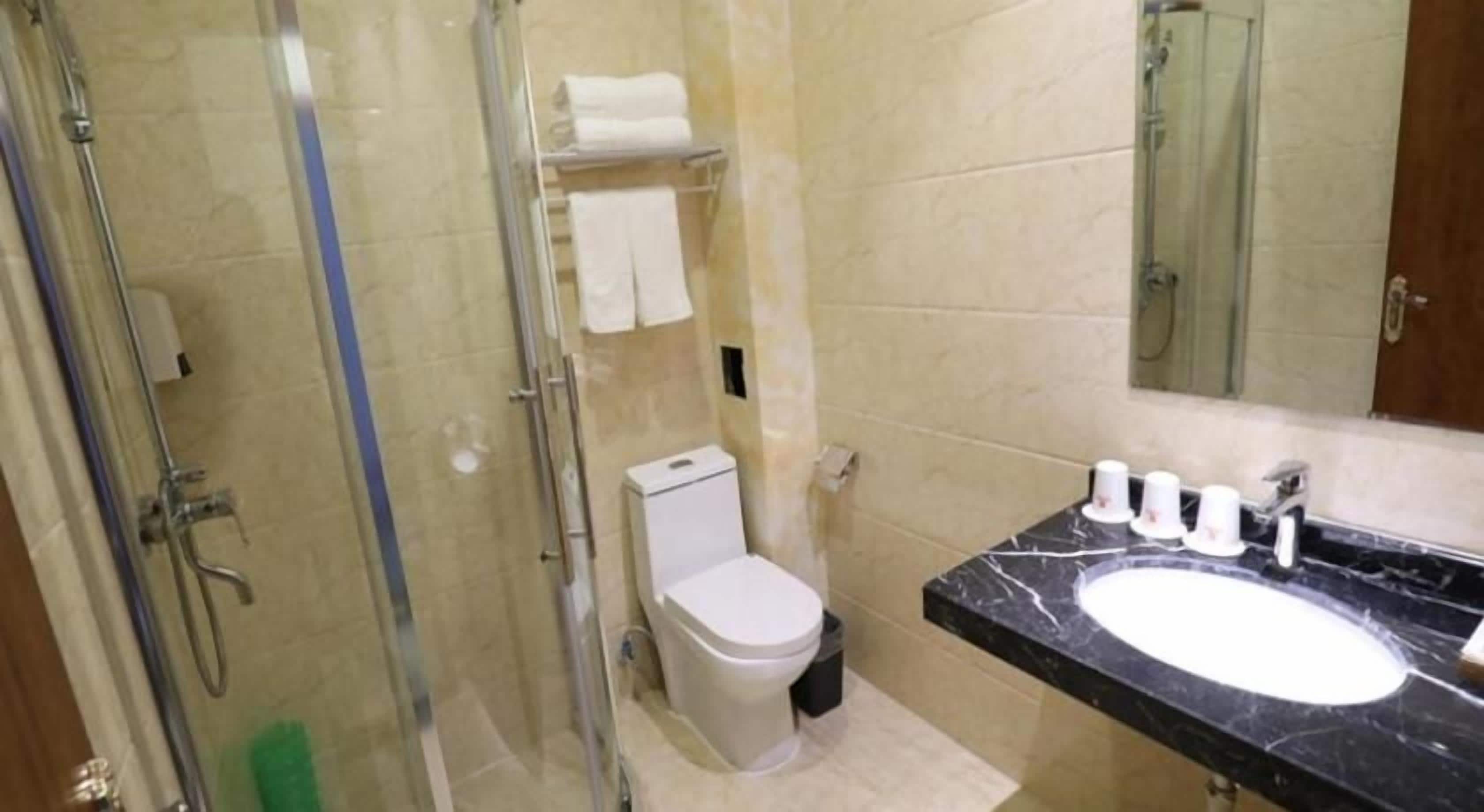 A bathroom with a glass-enclosed shower, a white toilet, a black marble sink, and a mirror above the sink.