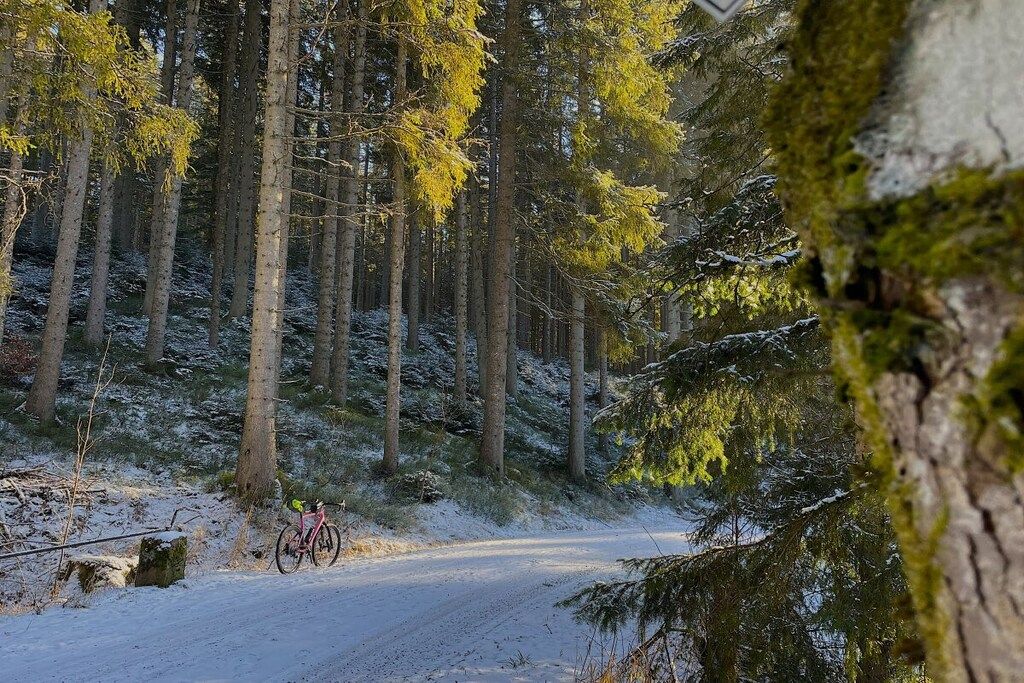 Une route forestière enneigée, avec un vélo garé sur le bord.