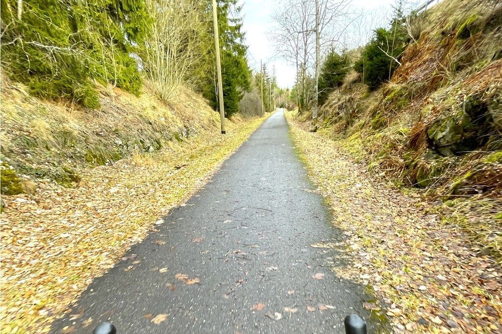 A narrow paved path flanked by trees and vegetation.